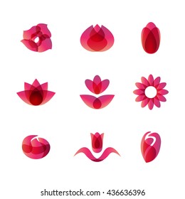 flowers transparent icons