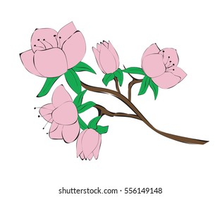 Flowers tree branch