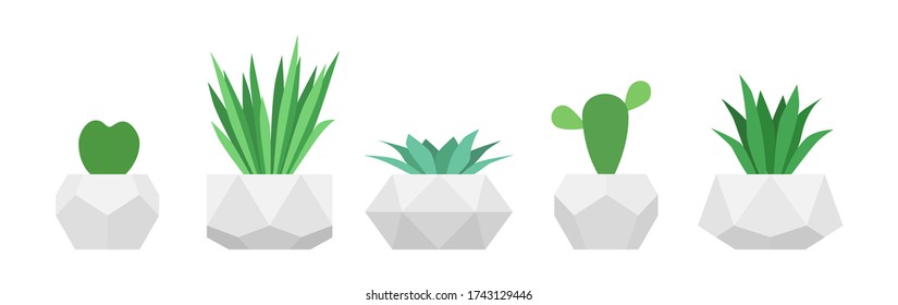 Flowers in trendy geometric pots. Vector set of succulent plants. Home gardening collection