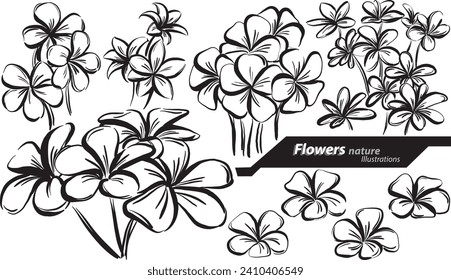 flowers tropical nature doodle design drawing vector illustration