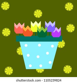 flowers tulip in pot