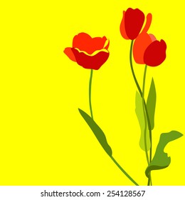 flowers tulips