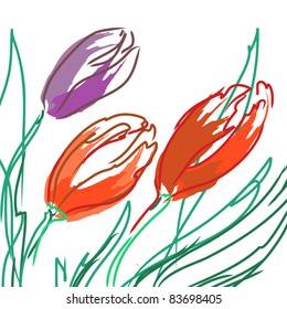 Flowers tulips with leaves on a white background. Floral background, greeting card.