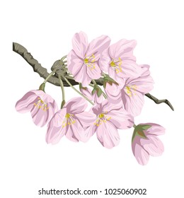 flowers and twigs. Vector illustration