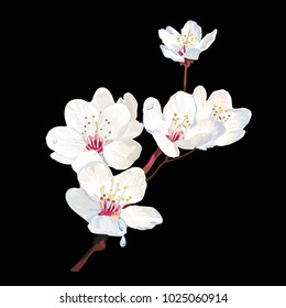 flowers and twigs. Vector illustration