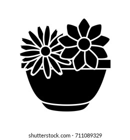Flowers in vase