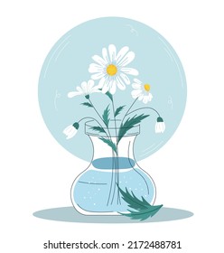 Flowers in vase. Beautiful bouquet of daisies. White chamomiles with green stem in carafe of water. Field plants in house. Design element for decorative poster. Cartoon flat vector illustration.