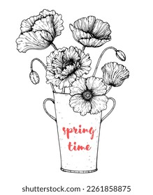 Flowers in vase hand drawn vector illustration. Floral composition. Bouquet with poppy flowers and plants.