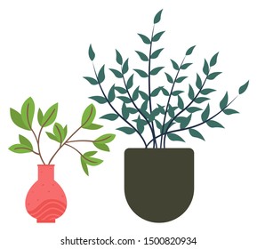 Flowers in vases, floral decor for home flat style flourishing on branches, plant with frondage, tender and elegant design, container interior. Isolated flowerpot with blooming plant . Vector in flat