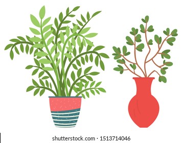 Flowers in vases, floral decor for home flat style flourishing on branches, plant with frondage, tender and elegant design, container interior. Isolated flowerpot with blooming plant . Vector in flat