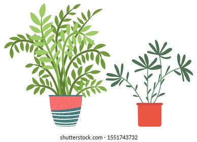 Flowers in vases, floral decor for home flat style flourishing on branches, plant with frondage, tender and elegant design, container interior. Isolated flowerpot with blooming plant . Vector in flat