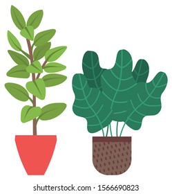 Flowers in vases, floral decor for home flat style flourishing on branches, plant with frondage, tender and elegant design, container interior. Isolated flowerpot with blooming plant . Vector in flat