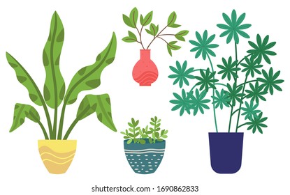 Flowers in vases, floral decor for home flat style flourishing on branches, plant with frondage, tender and elegant design, container interior. Isolated flowerpot with blooming plant . Vector in flat