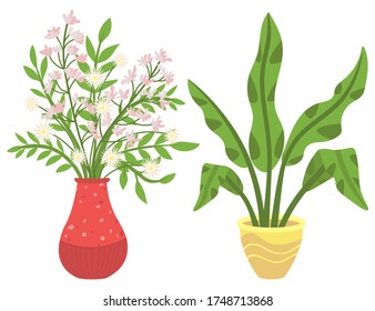 Flowers in vases, floral decor for home flat style flourishing on branches, plant with frondage, tender and elegant design, container interior. Isolated flowerpot with blooming plant . Vector in flat