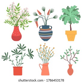 Flowers in vases, floral decor for home flat style flourishing on branches, plant with frondage, tender and elegant design, container interior. Isolated flowerpot with blooming plant . Vector in flat