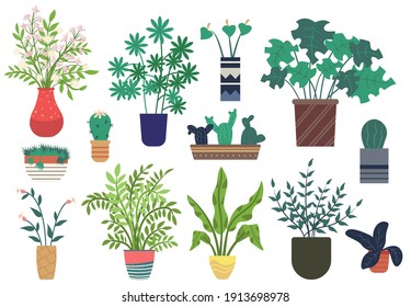 Flowers in vases, floral decor for home flat style flourishing on branches, plant with frondage, tender and elegant design, container interior. Isolated flowerpot with blooming plant . Vector in flat