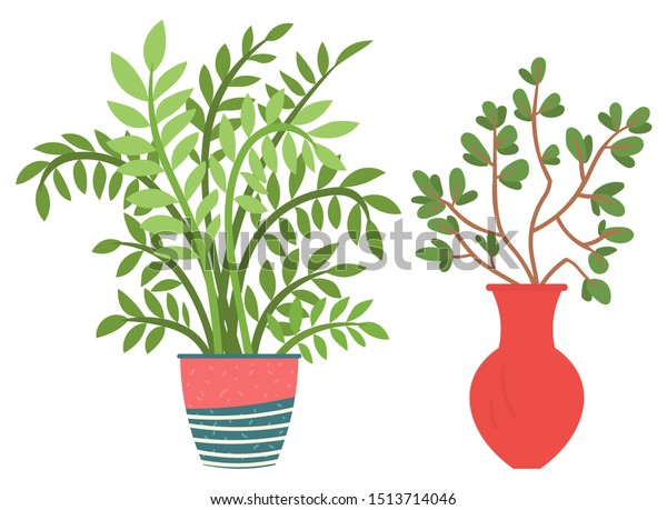 Flowers Vases Floral Decor Home Flat Stock Vector Royalty Free