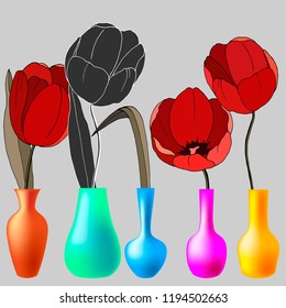 Flowers in Vases Vector Illustration