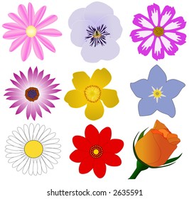 flowers (vector)