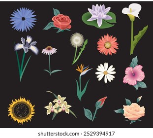 Flores Artes vectoriales hermosos EPS 