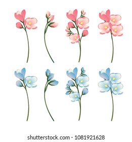 Flowers vector background