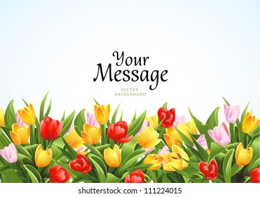 Flowers vector background with tulips