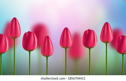 Fondo vectorial de flores con tulipanes