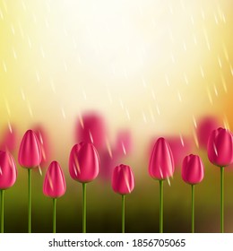 Fondo vectorial de flores con tulipanes