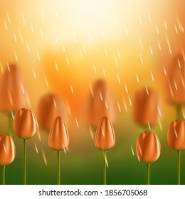 Fondo vectorial de flores con tulipanes