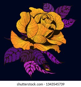 Flowers. Vector. A branch of roses with leaves, flowers and buds. Collage of flowers and leaves. Use printed materials, signs, items, websites, maps.