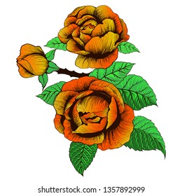 Flowers Vector. A branch of roses with leaves, flowers and buds. Collage of flowers and leaves on a on white background . Use printed materials, signs, items, websites, maps.