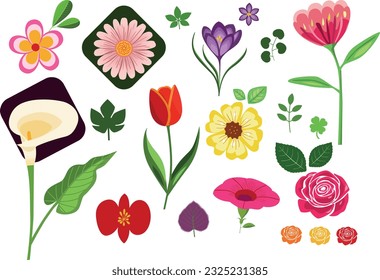 Flowers vector bundle. Great variety of types of flowers. Fit for all your project from wedding invitations to posters and presentations. Colorful and uplifting.