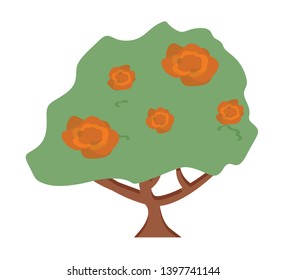 Flowers vector, bush with flowering isolated flora flat style natural blooming, roses or tree with trunk, garden orchard scene, rural area countryside