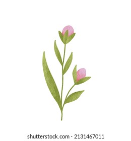 Flowers vector collection of branches and leaves in a beautiful vintage watercolor style.
natural art set for welcoming spring, wedding 