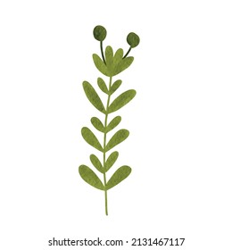 Flowers vector collection of branches and leaves in a beautiful vintage watercolor style.
natural art set for welcoming spring, wedding 