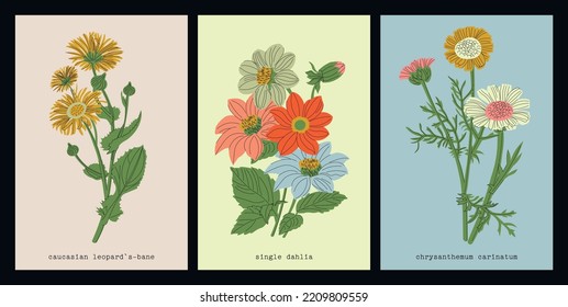 Flowers vector collection. Herbaceous flowering plants, blooming flowers, subshrubs isolated on color background. Hand drawn detailed botanical vector illustration.
