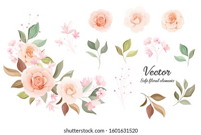 Flowers vector collection. Soft color floral decoration illustration of peach and white rose flowers, leaves, branches. Romantic botanic elements for wedding, greeting, valentine card design