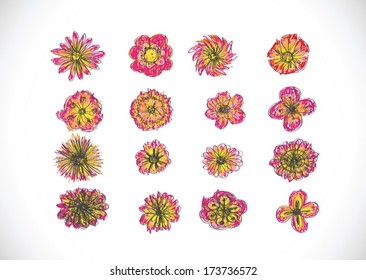 Flowers  Vector design