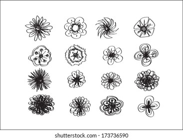 Flowers  Vector design