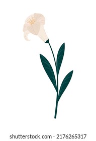 flowers vector design icon isolated