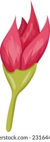 flores, vector, diseño, ilustración, gráfico