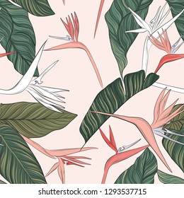 Flowers vector green pink tender summer illustration. Seamless beach design with exotic foliage texture. Hawaiian print