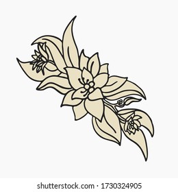 Flowers vector. Hand draw colorful illustration on white background. Isolated element for design of pattern,cosmetics, greeting card, flaer, poster, banner, wedding invitation,  template tattoo.