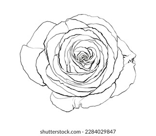 Blumen Vektorgrafik handgezeichnete Illustrationslinie kann für Grußkartendesigns, Muster, natürliche Designs, Flyer..