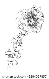 Blumen Vektorgrafik handgezeichnete Illustrationslinie kann für Grußkartendesigns, Muster, natürliche Designs, Flyer..