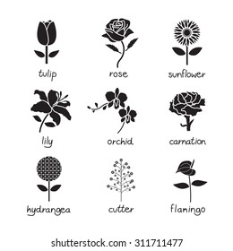 flowers vector, icon set