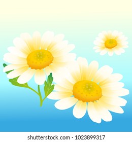 flowers. vector illustration