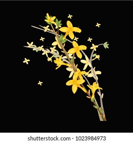 flowers. vector illustration