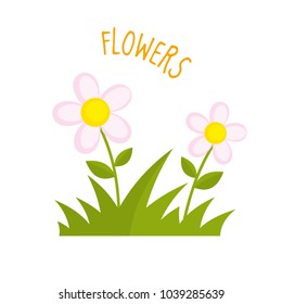 Flowers vector illustration