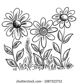 Flowers. Vector illustration